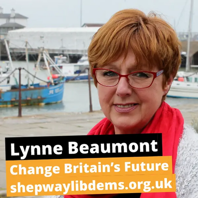 Lynne Beaumont 2017 General Election Campaign Poster