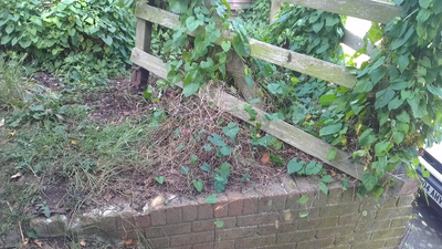 Broken fence and handrail