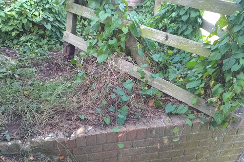 Broken fence and handrail