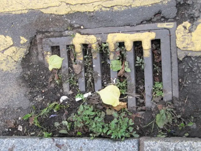 Blocked Drain