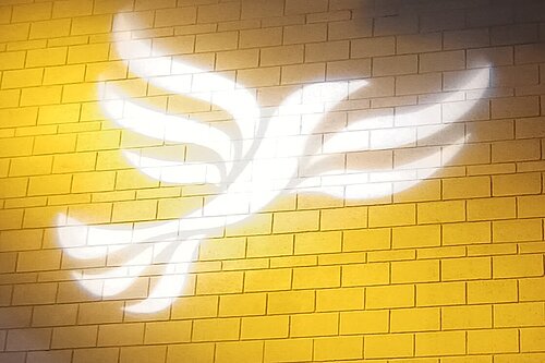 Lib Dem logo bird projected on blockwork