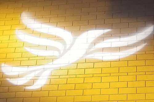 Lib Dem logo bird projected on blockwork