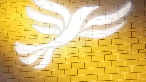 Lib Dem logo bird projected on blockwork