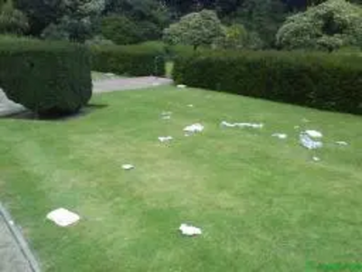 Litter in Gardens