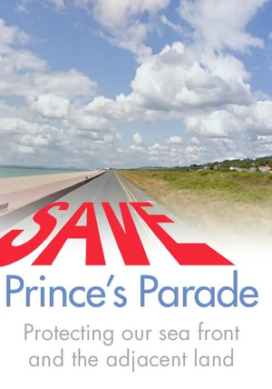 Save Prince's Parade Poster