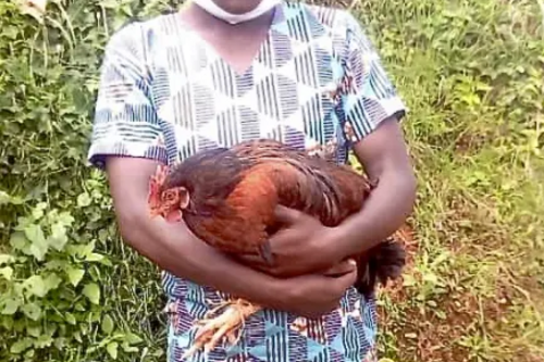 Sabina in new dress holding chicken