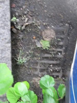 Blocked Drain