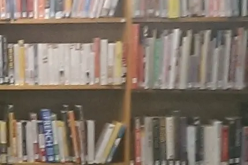 Books on shelves