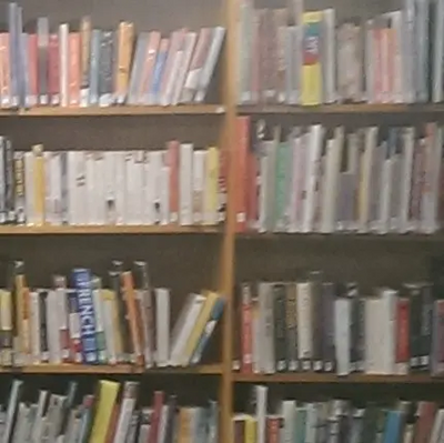 Books on shelves