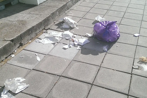 Waste from bin bags ripped apart by seagulls on street