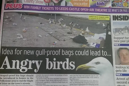 KM Express front page on seagulls "Angry Birds"