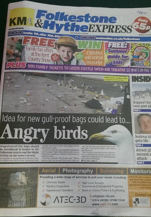 KM Express front page on seagulls "Angry Birds"