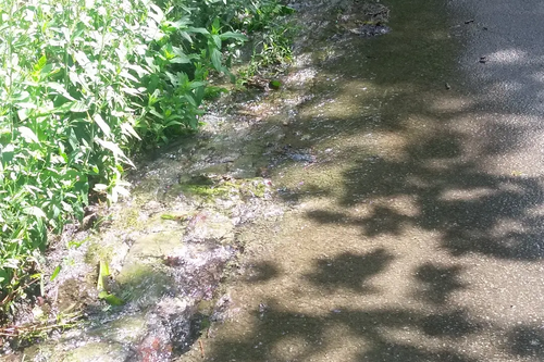 Water running down road due to mains leak