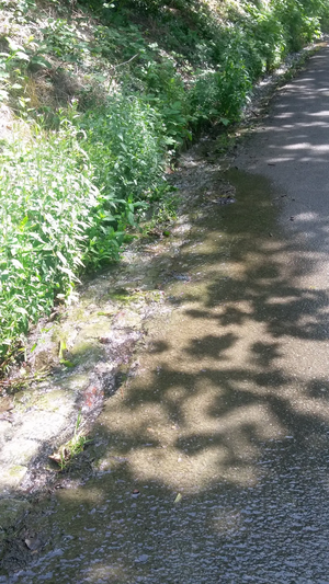 Water running down road due to mains leak