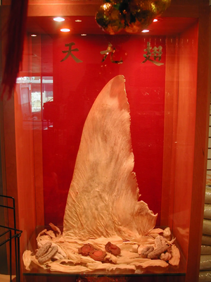 Shark fin for sale in Hong Kong