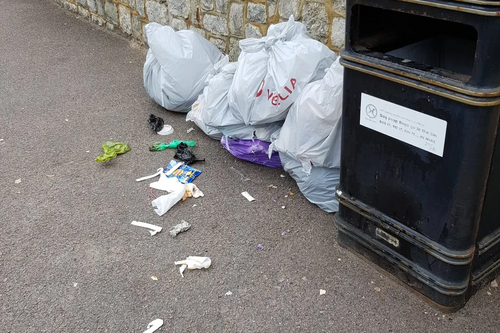 Bin bag with waste scattered by street bin