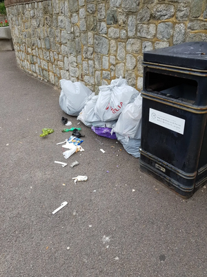 Bin bag with waste scattered by street bin