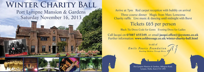 Winter Charity Ball Flyer