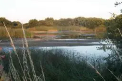 Runway Pond - Special Area of Conservation, Lydd Airport